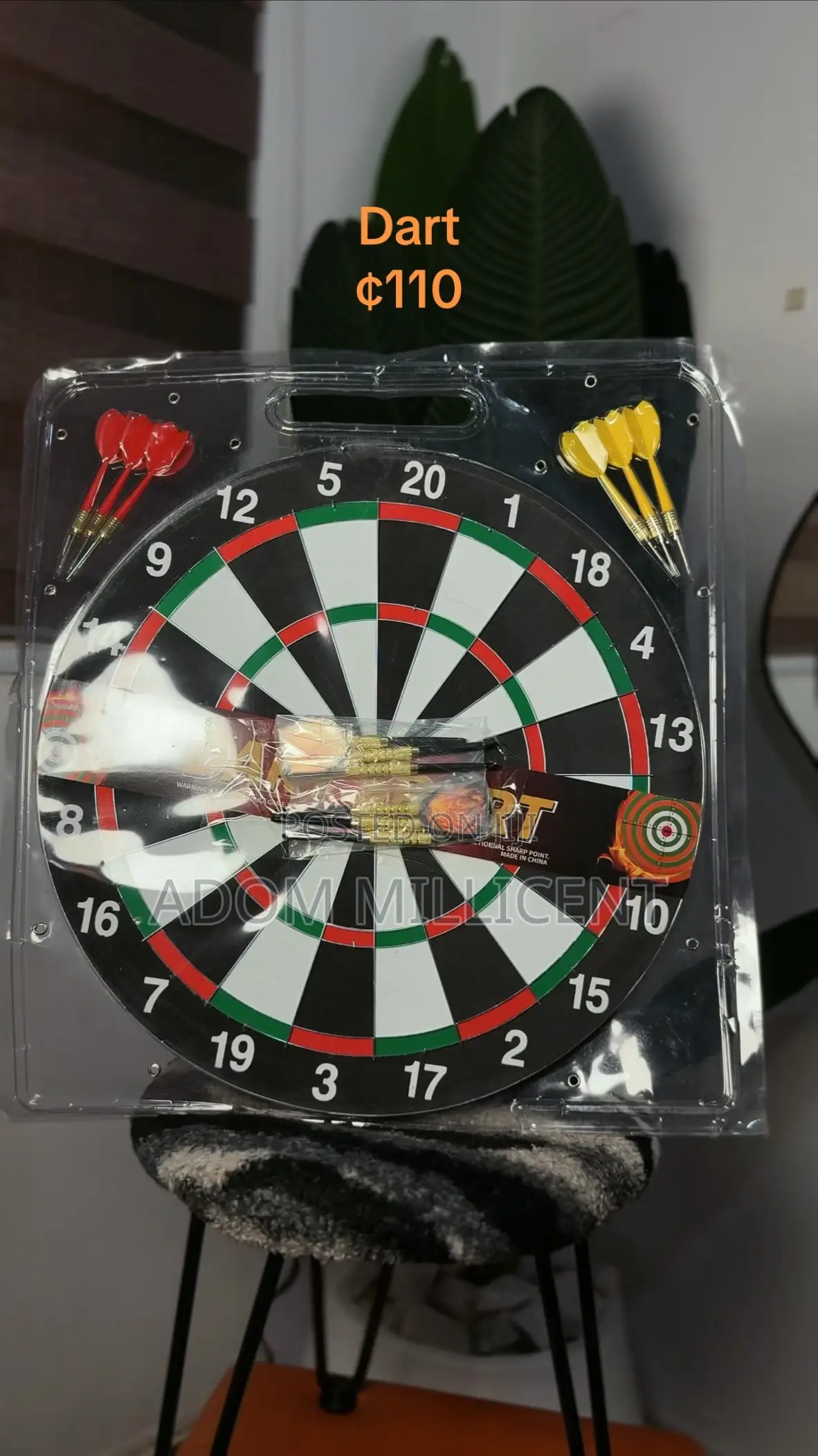 Dart Board 17 Inches