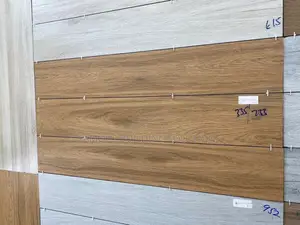 Made in India Pakay Tiles(20x120)