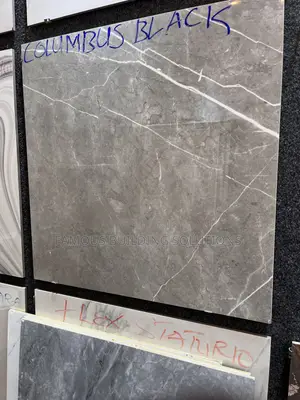 60x60 Floor Tiles(made in India)