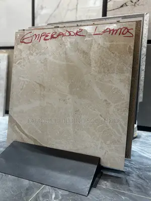 60x60 Floor Tiles(made in India)