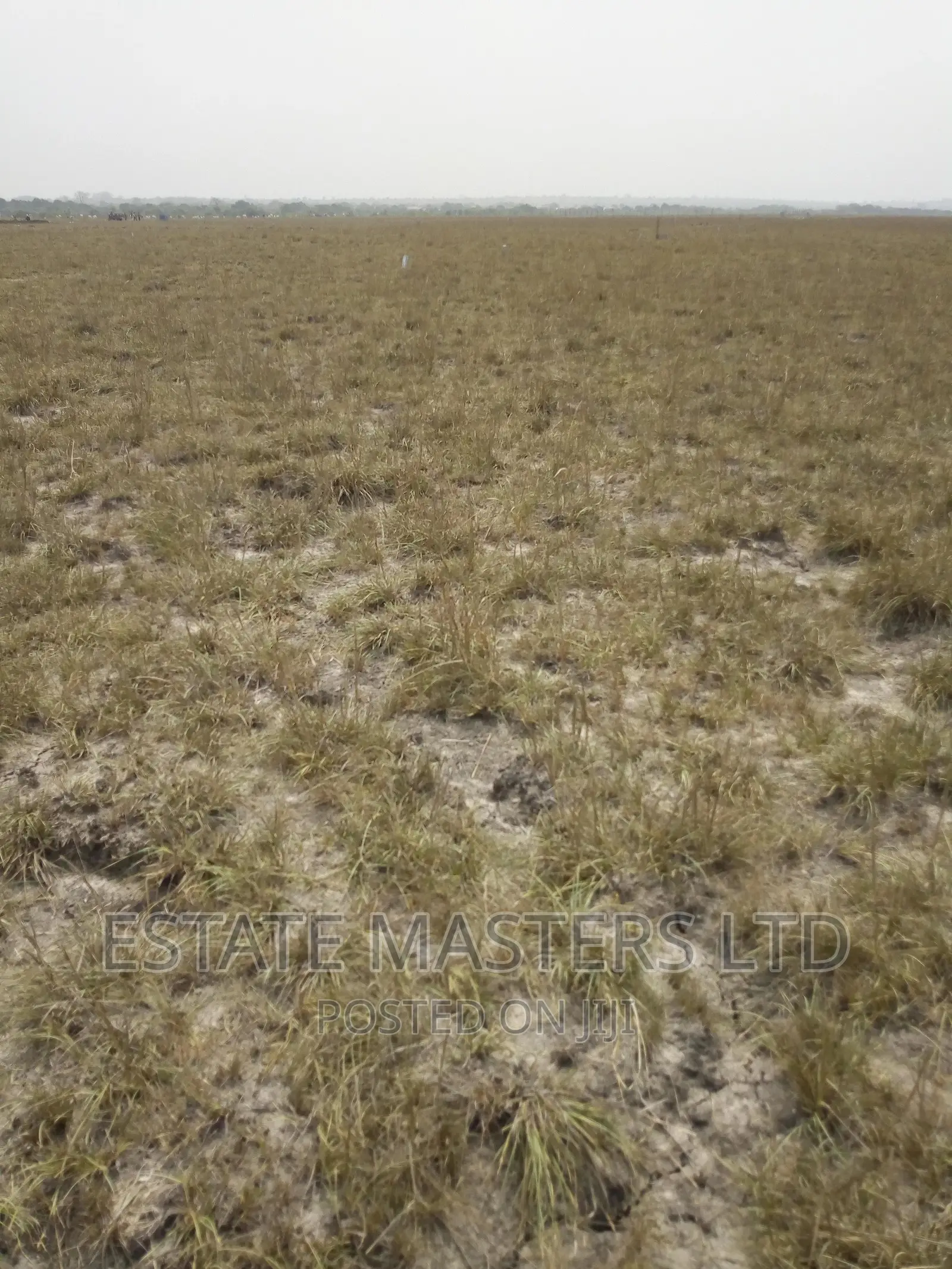 Serviced Serene Area Plot