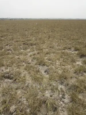 Serviced Serene Area Plot