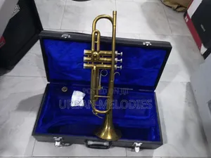 Bb (B-Flat) Brass Trumpet