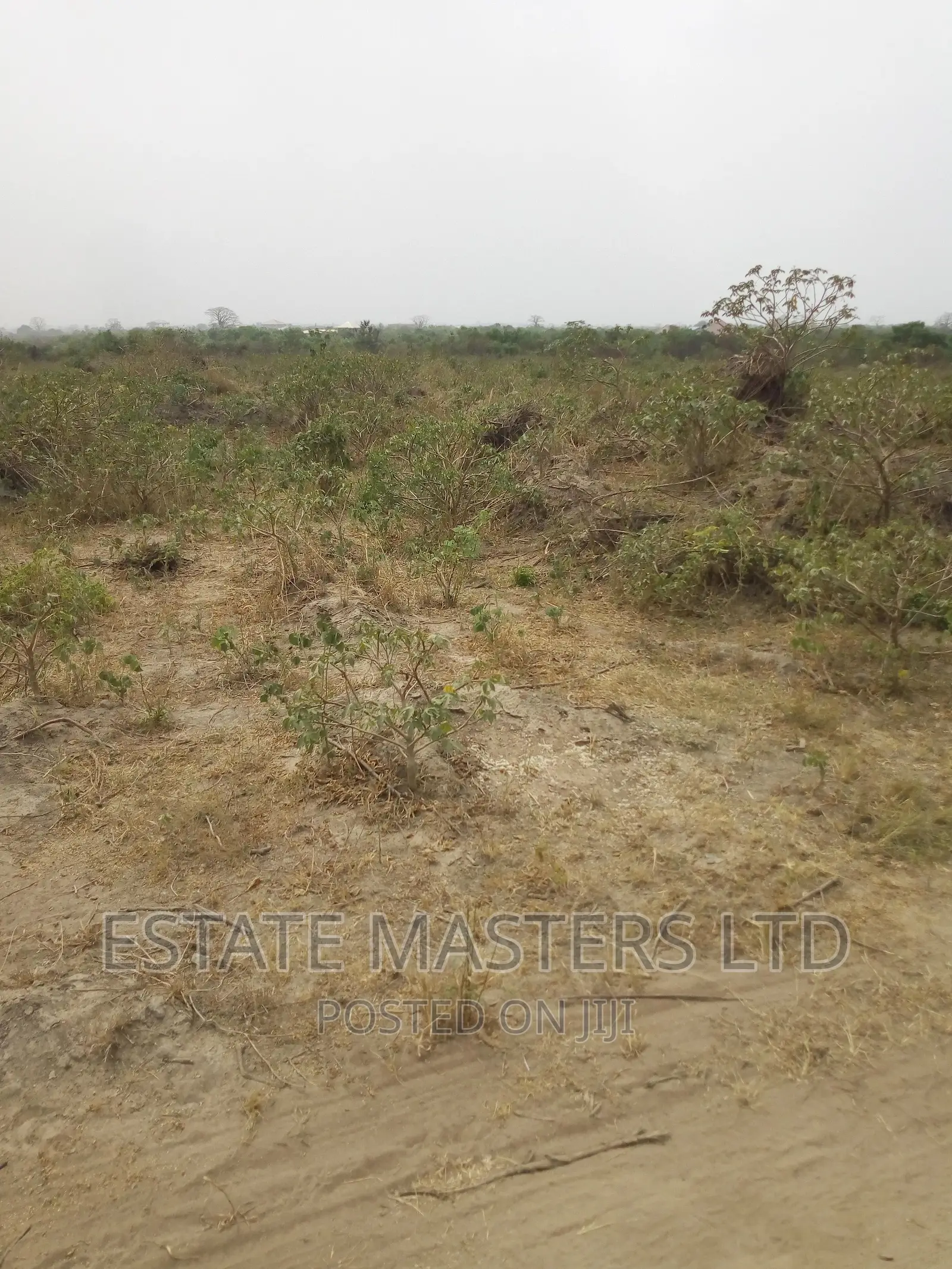 Serviced Serene Area Plot