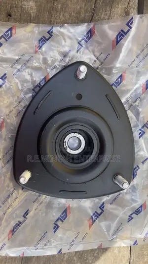 Strut Mounts