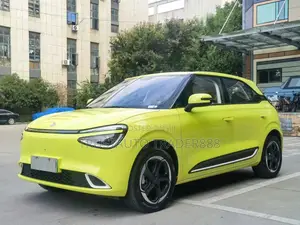 Dongfeng Nammi 01 42.3 kWh 430 Max 2024 Yellow