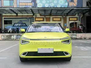 Dongfeng Nammi 01 42.3 kWh 430 Max 2024 Yellow
