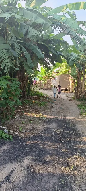 1 Plot of Land for Sale