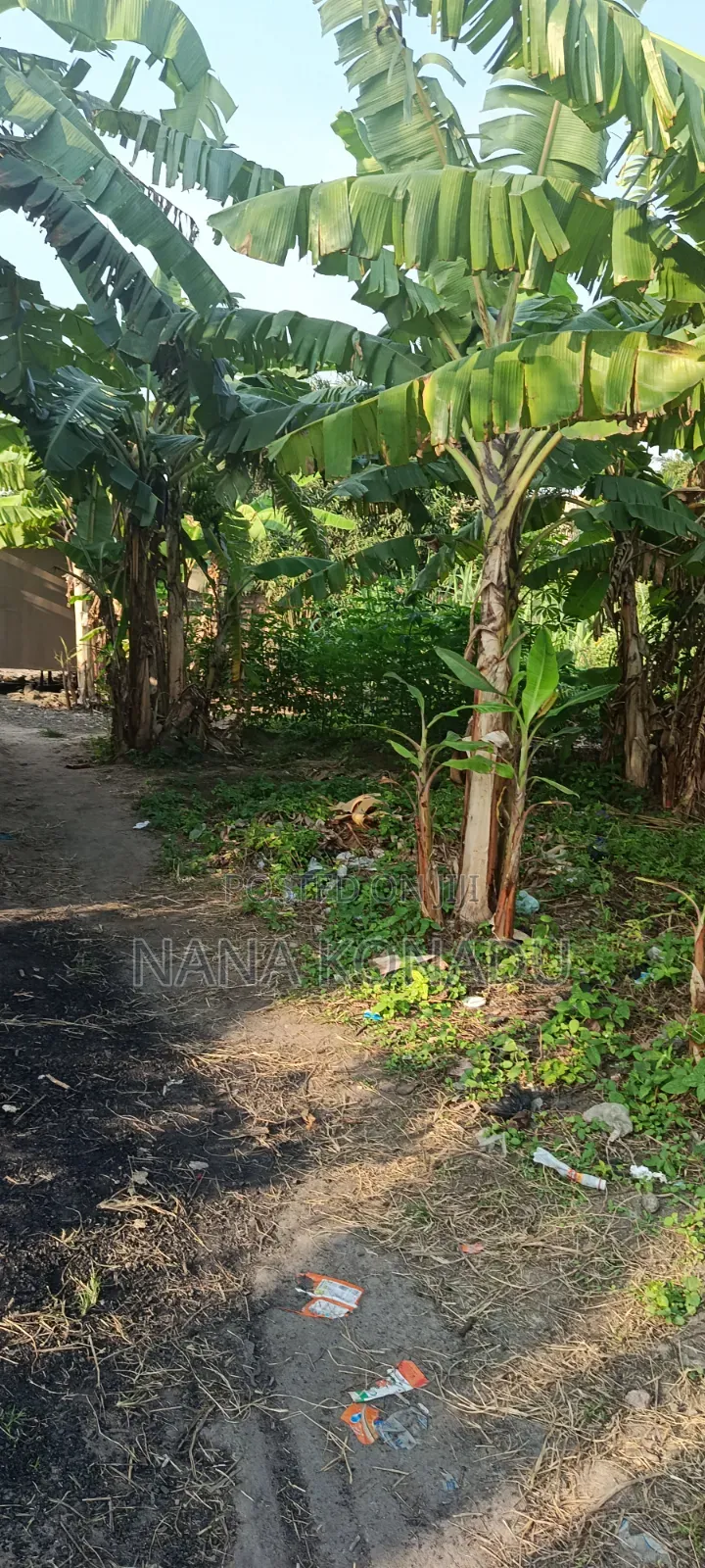 1 Plot of Land for Sale