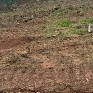 Land for Sale at Konkonuru