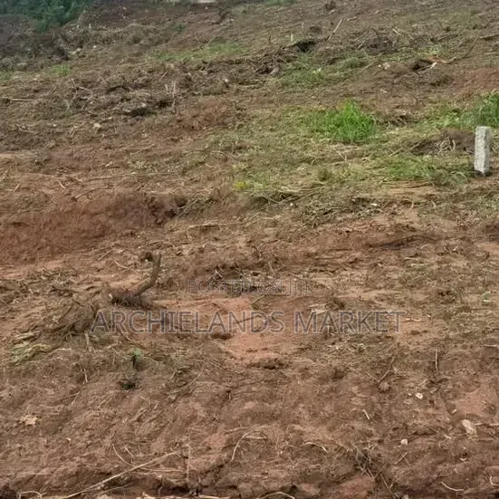 Land for Sale at Konkonuru