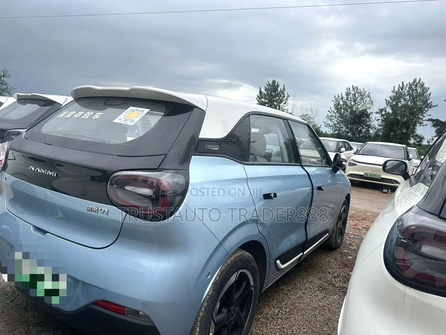 Dongfeng Nammi 01 2025 Blue