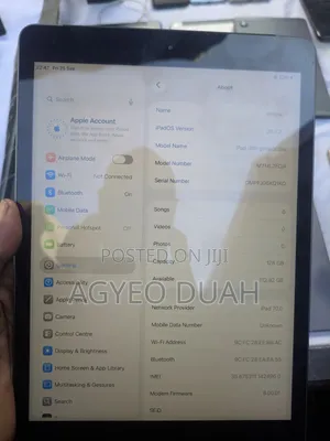 Apple iPad Pro 9.7 (2016) 128 GB Gray