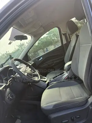 Ford Escape 2014 Silver