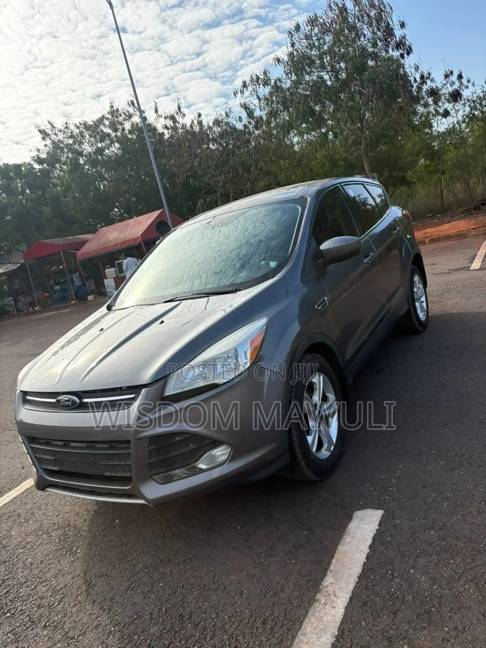 Ford Escape 2014 Silver