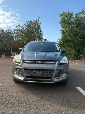 Ford Escape 2014 Silver