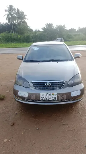 Toyota Corolla LE 2006 Gray