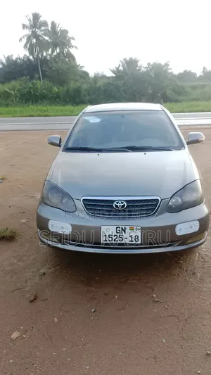 Toyota Corolla LE 2006 Gray