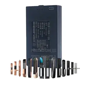 Smart Lock Battery