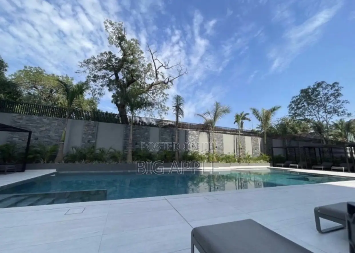 Furnished Studio Apartment in Bantree, Airport Residential Area