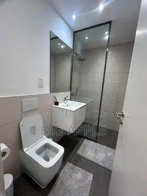 Furnished Studio Apartment in Bantree, Airport Residential Area