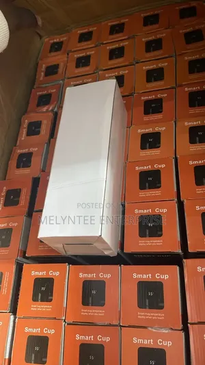 Temperature Flask