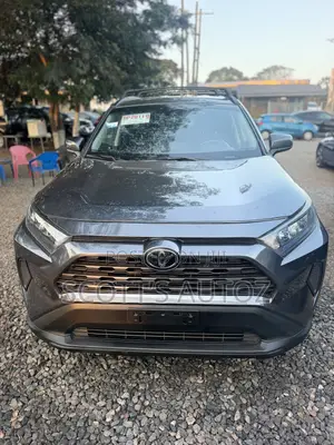 Toyota RAV4 LE AWD 2019 Gray