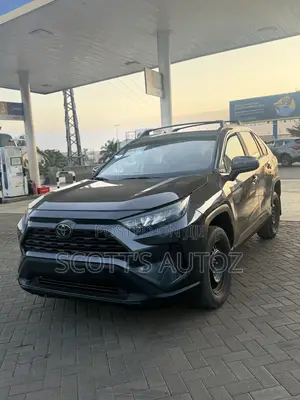 Toyota RAV4 LE AWD 2019 Gray