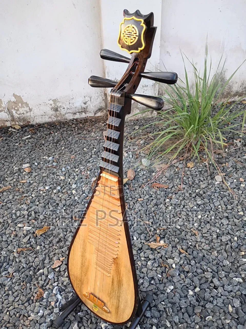 Pipa Chinese Traduitional Musical Instruments