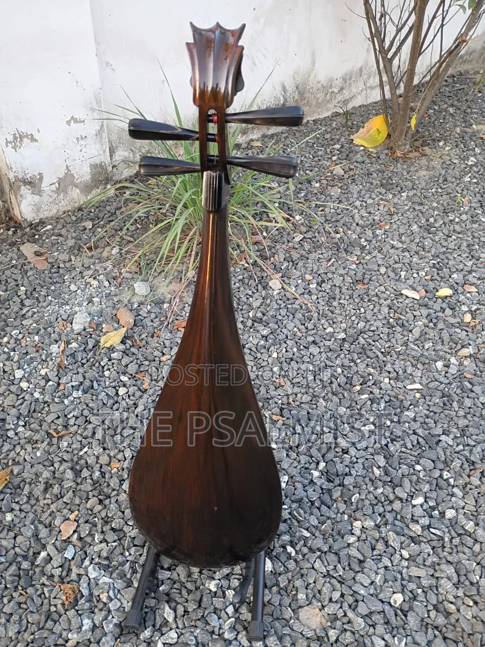 Pipa Chinese Traduitional Musical Instruments