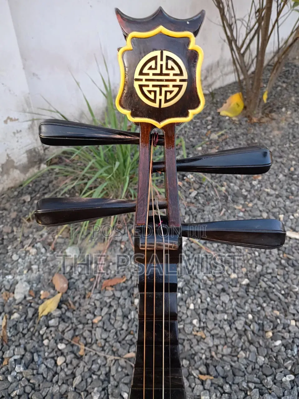 Pipa Chinese Traduitional Musical Instruments