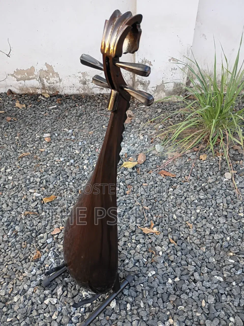 Pipa Chinese Traduitional Musical Instruments