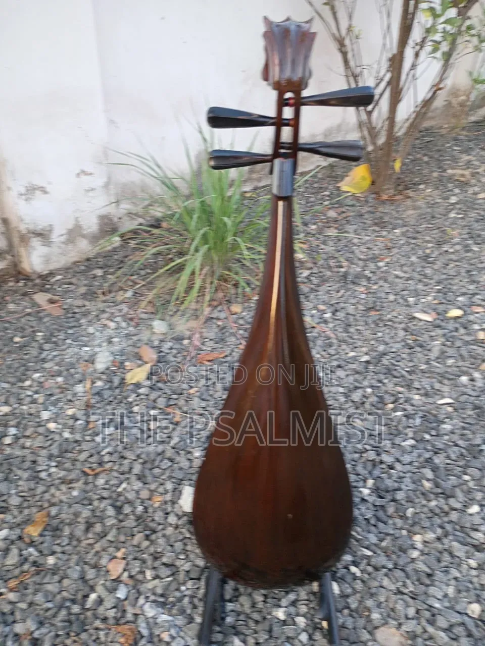 Pipa Chinese Traduitional Musical Instruments