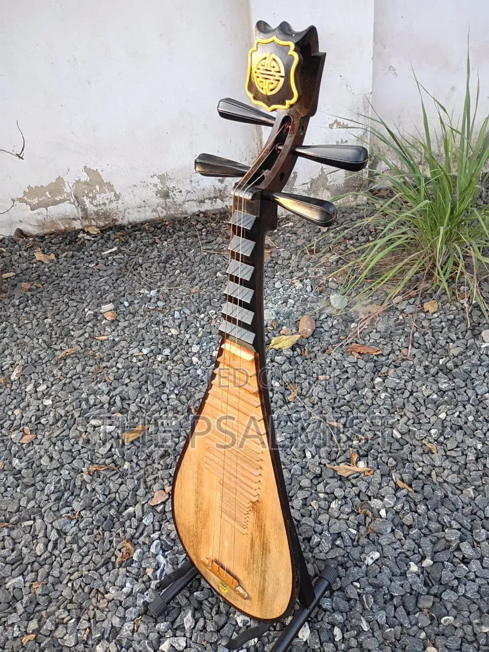 Pipa Chinese Traduitional Musical Instruments
