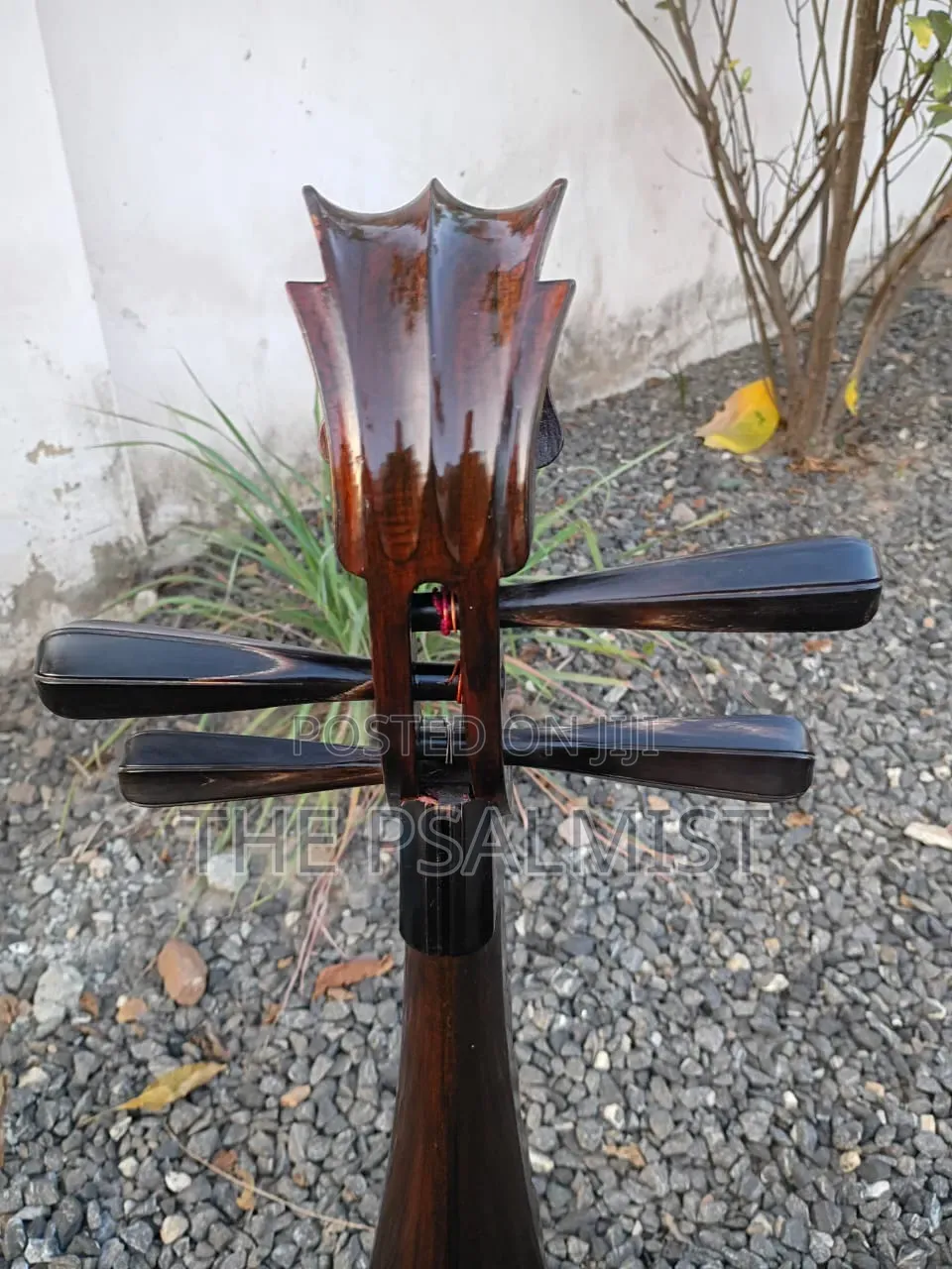 Pipa Chinese Traduitional Musical Instruments