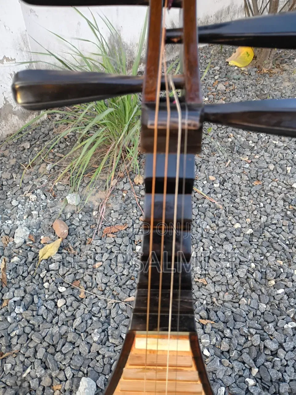 Pipa Chinese Traduitional Musical Instruments