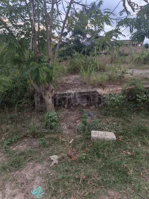 Half Plot for Sale at Aputuogya