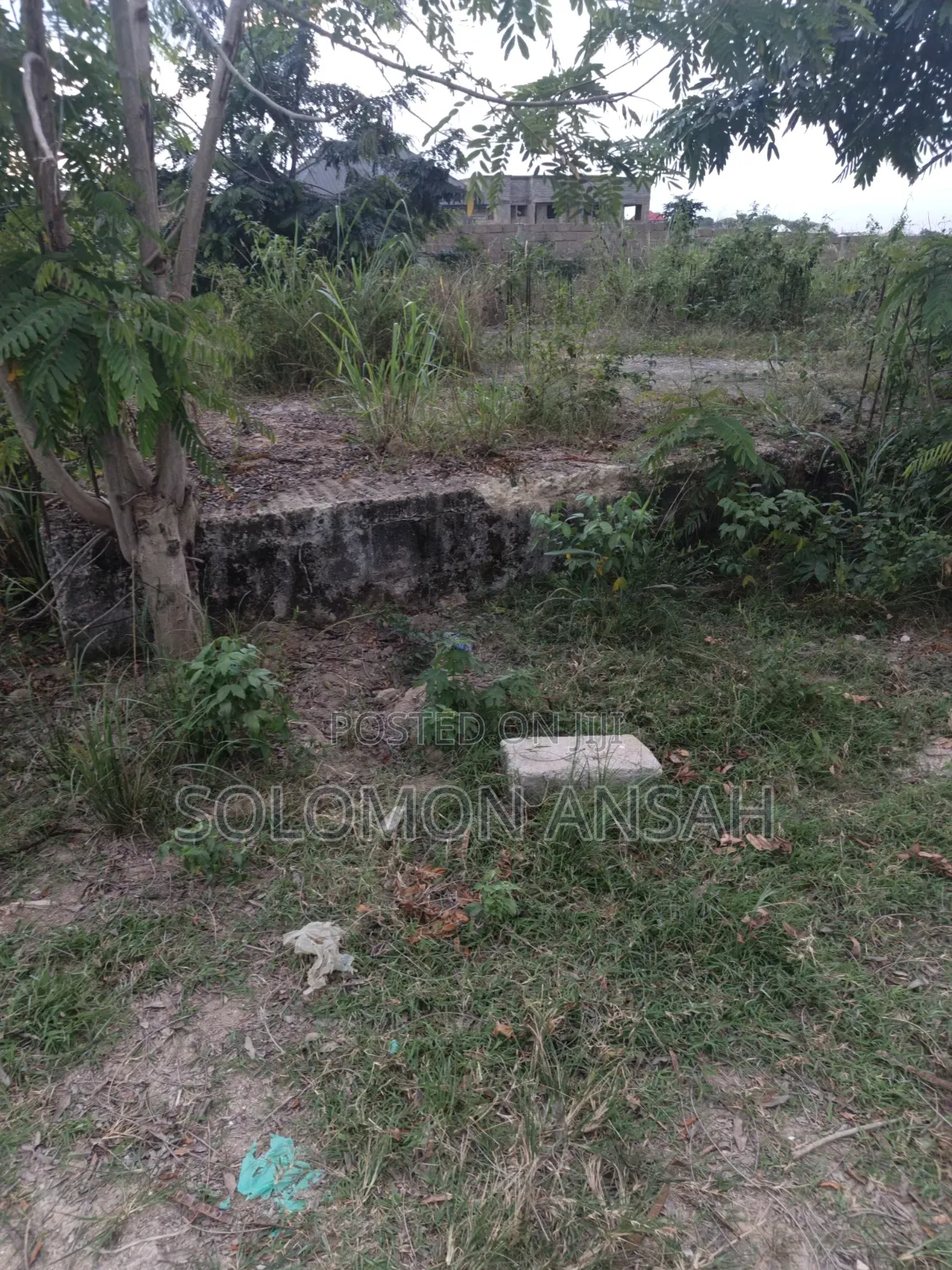 Half Plot for Sale at Aputuogya
