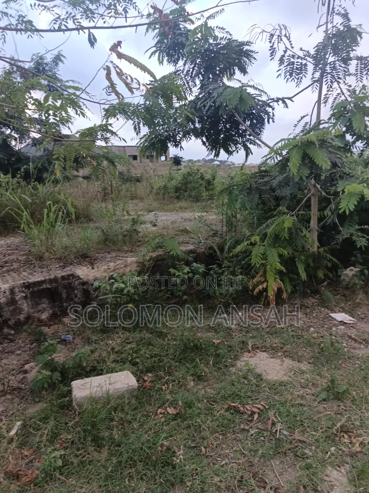 Half Plot for Sale at Aputuogya