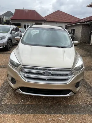 Ford Escape 2017 Silver