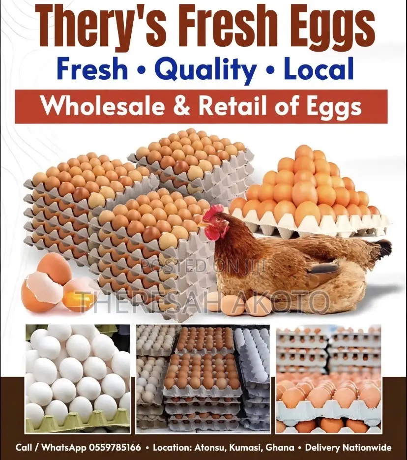 Fresh Eggs
