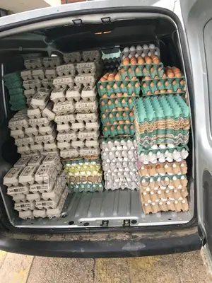 Fresh Eggs