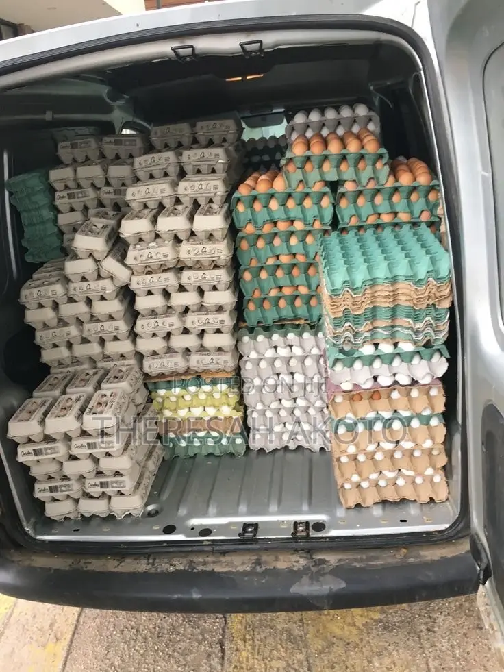 Fresh Eggs