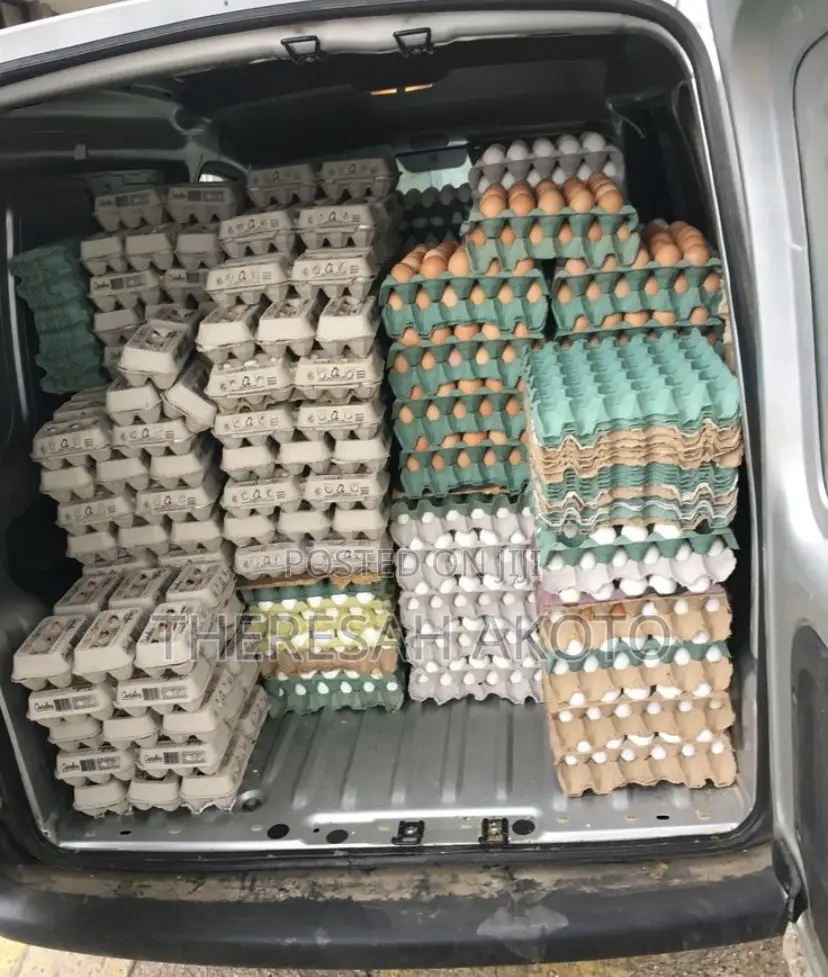 Fresh Eggs
