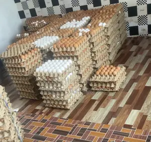 Fresh Eggs