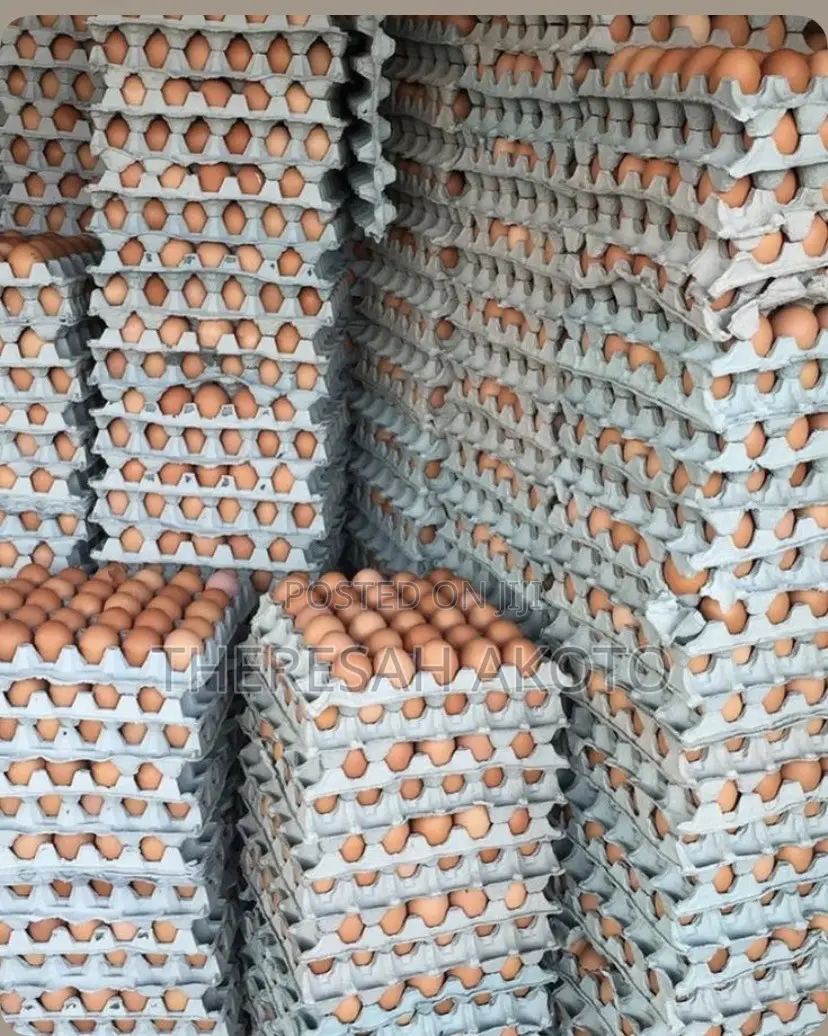 Fresh Eggs