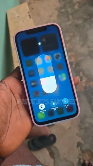 Apple iPhone 12 Pro Max 256 GB Blue