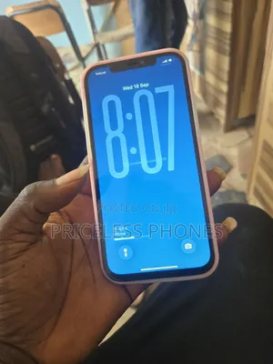Apple iPhone 12 Pro Max 256 GB Blue