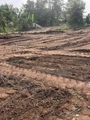 Affordable Lands for Sale at Amasaman
