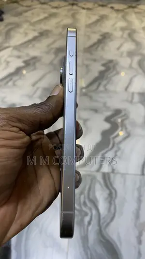 Apple iPhone 15 Pro Max 256 GB Silver